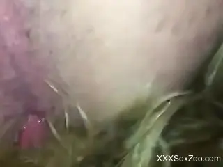 Tight gay man ass fucked in the middle of the night by an animal