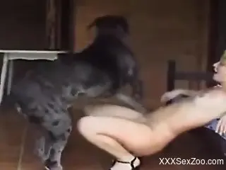 Eager bitch in heels prepping for deep dog cock gape