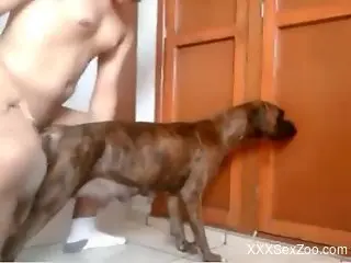 Amateur man films himself deep fucking his dog in amateur scenes