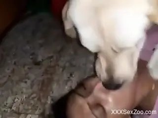 Amazing brunette having fun with a white doggo