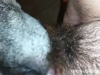 Hairy cunt being pleasured by a very dirty beast