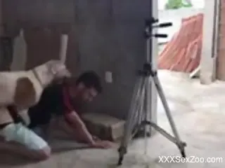 Authentic bestiality pleasure captured in a hot video