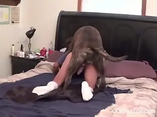 Loud bedroom dog fantasy sex for a tight amateur in her 30s