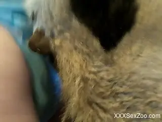 Great fucking video with a zoophile that gets wild