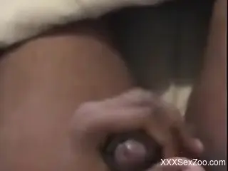 Guy cannot stop inserting maggots in his urethra