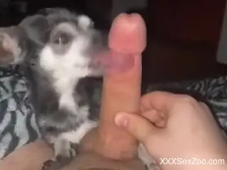 Loud solo masturbation grants horny man shivering pleasures