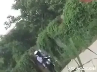 Aroused male filmed getting close and intimate with an animal