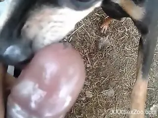 Man craves the dog's mouth for quite some time