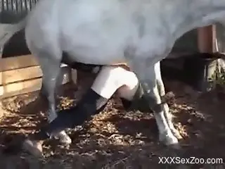 Horse trains that asshole with its colossal cock