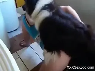 Wife endures homer sex with the dog in very special XXX