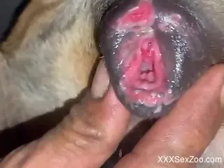 DEep animal porn once the black dude starts fucking his dick