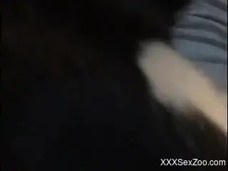 Animal sets its sights on that tight fucking hole