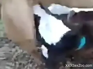 Man films pair of goats mating and that makes him horny