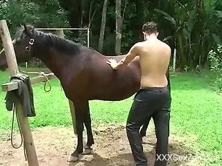Gay male throats giant horse dick and tries anal on cam