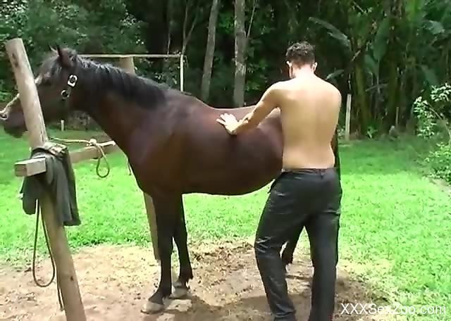 Gay Horse Porn - Gay male throats giant horse dick and tries anal on cam - XXXSexZoo.com