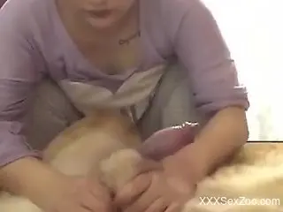 Loud Asian wife plays with the dog's cock in slutty POV