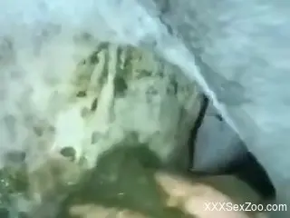 Closeup video with messy fucking with hot animals