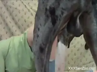 Naked beauty feels entire dog's dick hammering her pussy on cam