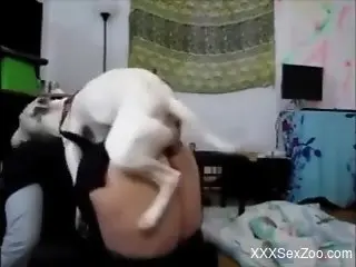 Dog humps curvy ass woman big time and comes in her