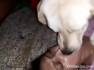 Hot bitch making out with a dog prior to hard sex