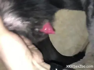 Animal's growing cock gets pleasured in a POV vid