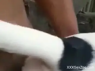 Dude banging the living crap outta that pussy hole