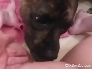 Shaved zoophile pussy is the tastiest treat ever