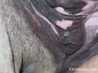 Dude is going to stick his dick right in UP CLOSE