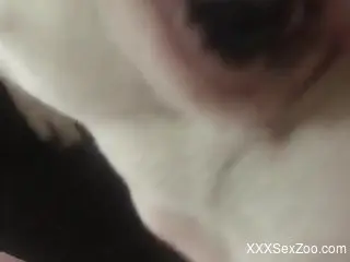 Slutty beast going crazy in a POV movie here