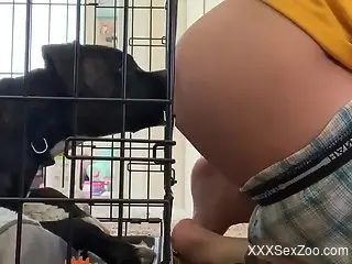 Animal sniffing that butt and look hot AF as well
