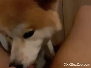 Diligent beast cannot stop pleasuring her orally