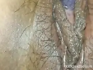 Neat zoophilic slit getting fucked by a dirty dog