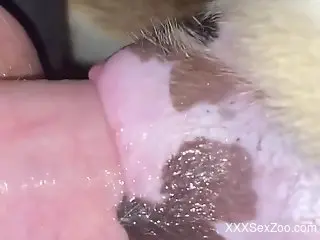 Guy working hard to stretch that animal twat here