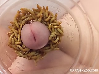 Horny man jerks off using worms to stimulate him better