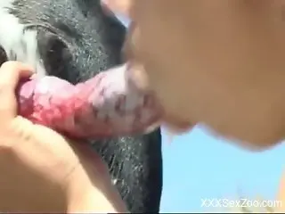 Latina with red hair kissing all over that boner