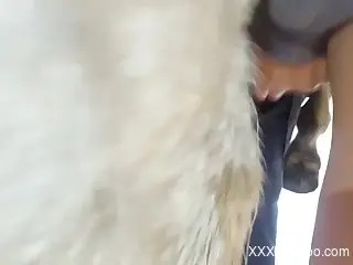 Horse cock love featuring the subtle teasing
