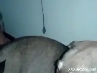 Dirty dude is going to fuck the animal so so hard