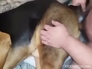 Dude puts his penis and dominates the beast too