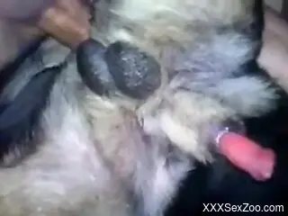 Dude is going to rip that asshole apart with his D