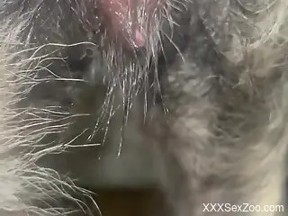 Greatest sex session with a sweaty cock stud