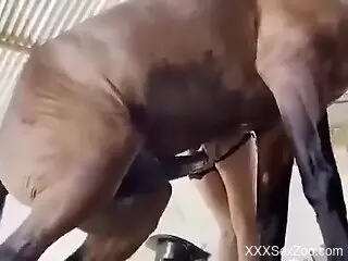 Horse fucking the girl's hole from behind HARD