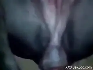 Guy's hard cock is going to widen that opening