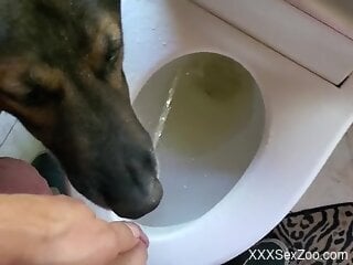 Dog drinks owner's piss in slutty cam scenes