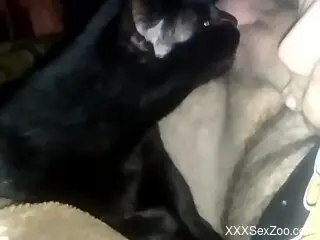 Guy is going to feed his cock to a horny cat too