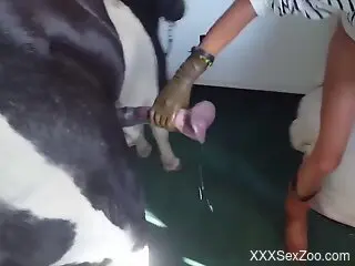 Horse cock is enjoying the best orgasms ever