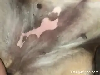 Animal enjoying all the pleasure it can up close