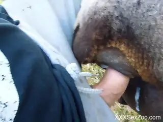 Dude uses his penis to stretch the beast big time