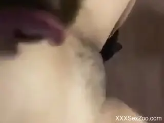 Closeup zoophilic fucking with a horny brunette