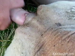 Hot guy with a curved cock fucking a beast hard
