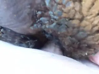 Guy blows a load happily after fucking a beast